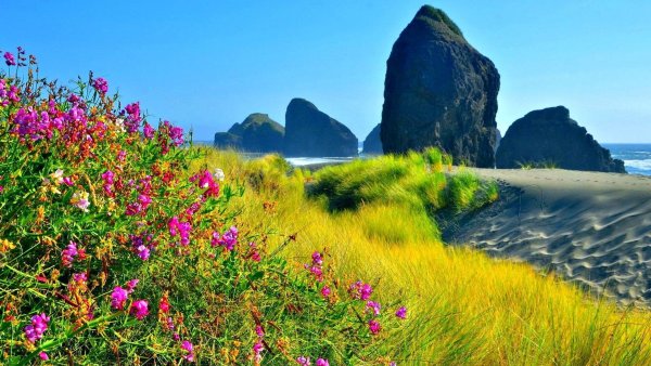 Морское побережье весной