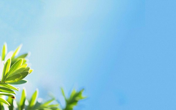 Весенний фон для презентации