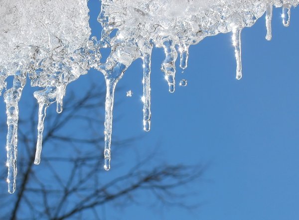 Весна идёт весне дорогу рисунок