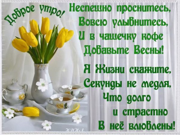 Весенние цветы и пожелания доброго дня