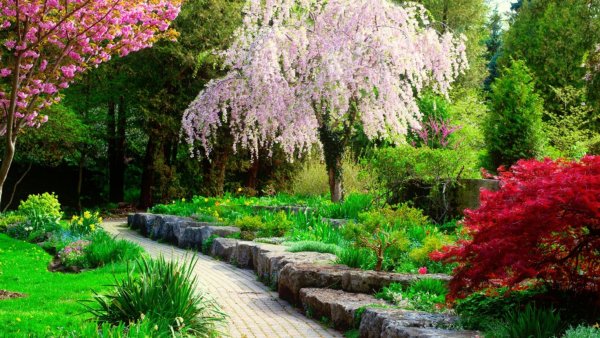 Весенний сад