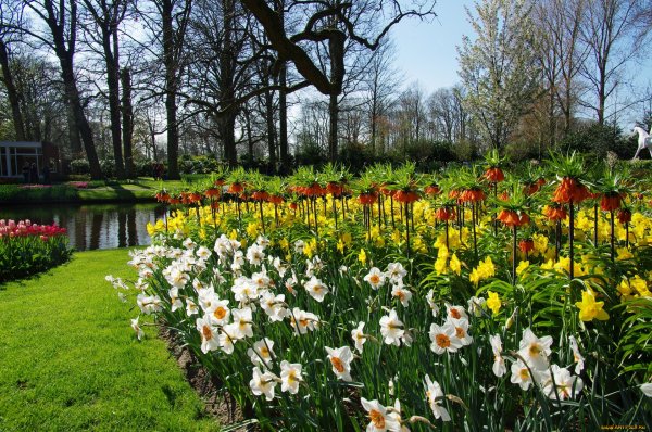 Нидерланды весенний парк Keukenhof