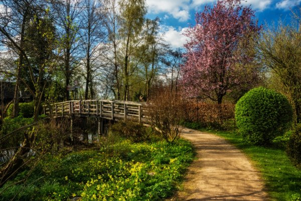 Скамейка в парке