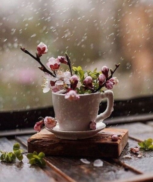 Хорошего дня и настроения в любую погоду