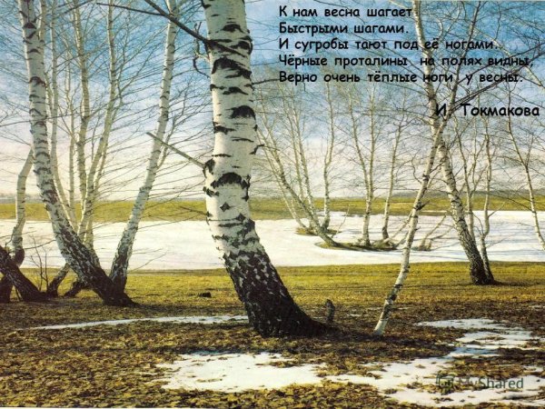 Такмакова к нас веснашагает