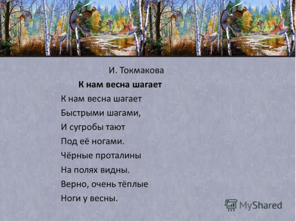 К нам Весна шагает быстрыми