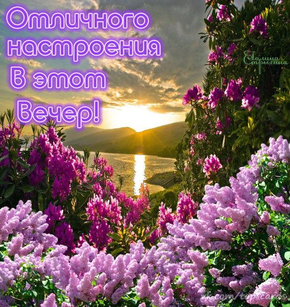 Приятного летнего вечера