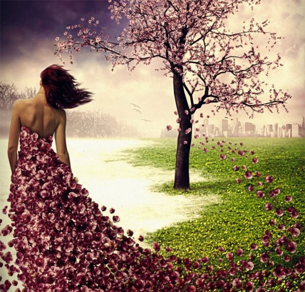 Подснежник Элизабет Харрисон