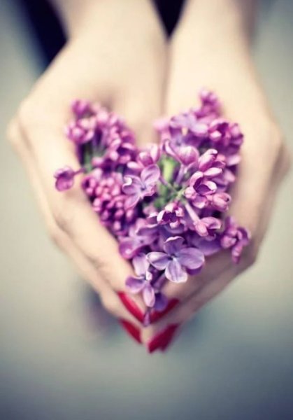 Цветы на аву