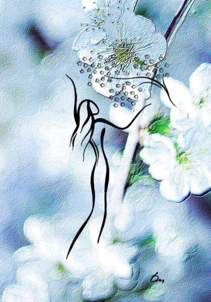 Цветы на аватарку фото