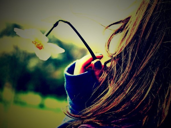 Хочется весны и тюльпанов