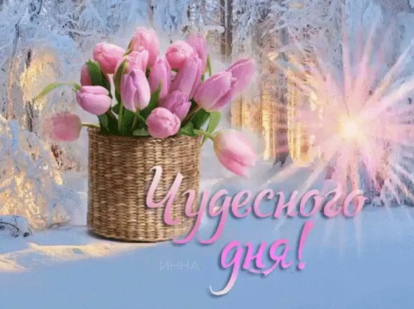 Теплого и солнечного дня зимнего
