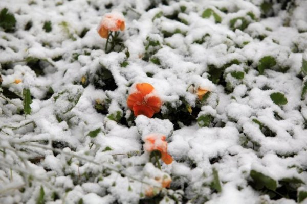 Приколы про весну