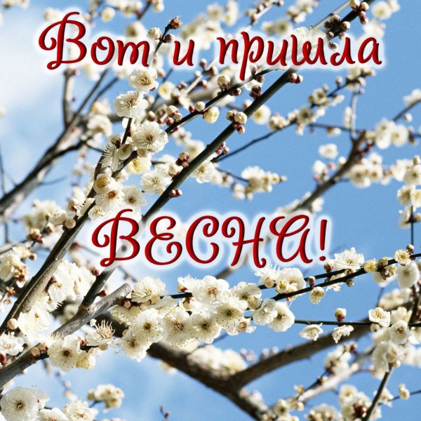 Открытка «Весна»