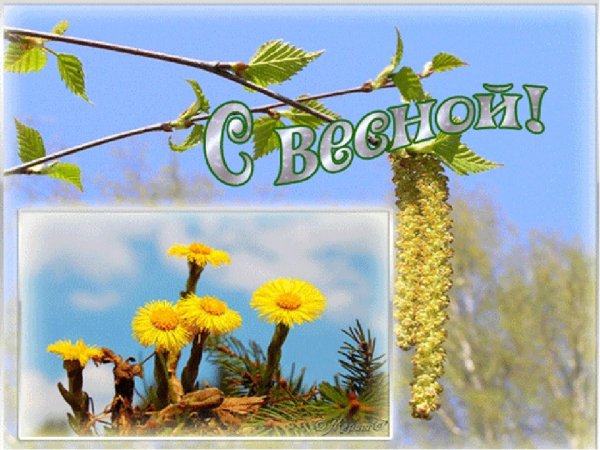 Здравствуй Весна картинки