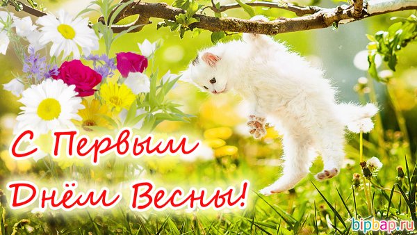 С днем весны поздравляем маленького