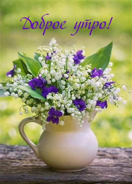 Фото весенних цветов с добрым утром