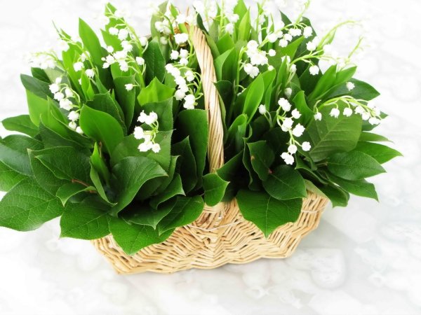 Подснежники в вазочке