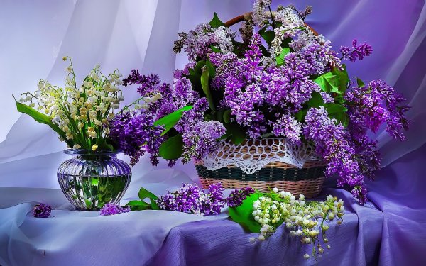 День ландыша