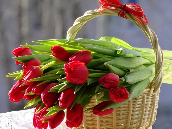 Весна цветы нежность