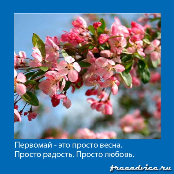 Весенние фото для печати