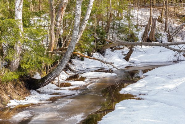 Бегут ручьи Журчат ручьи