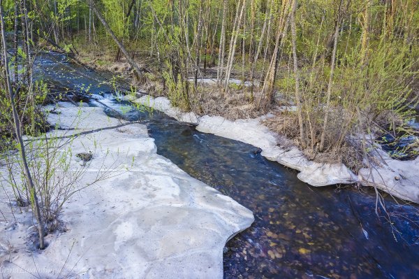 Ручейки весной