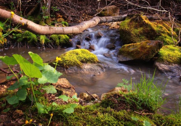Весенние ручьи