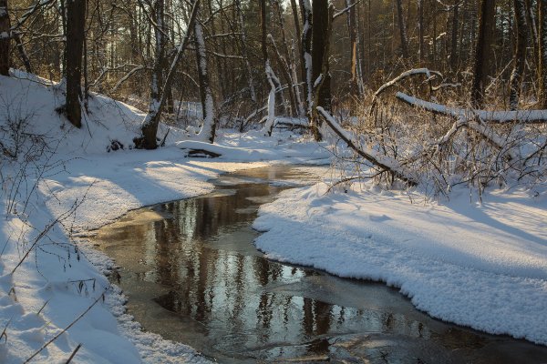 Весенние ручьи