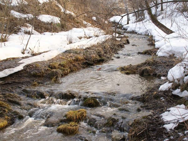 Ручьи весной