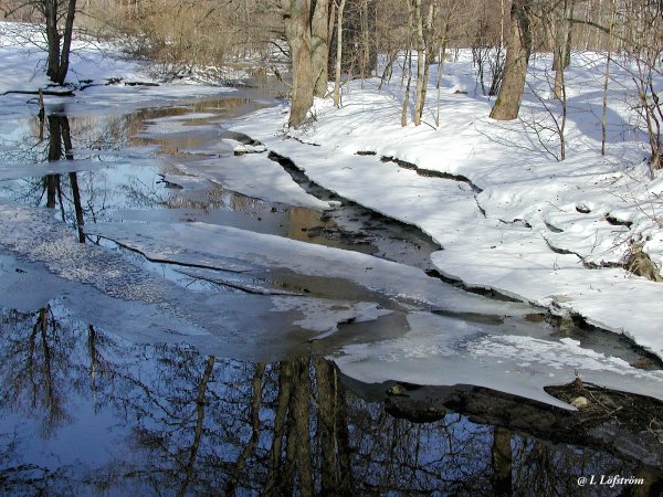 Талый ручей