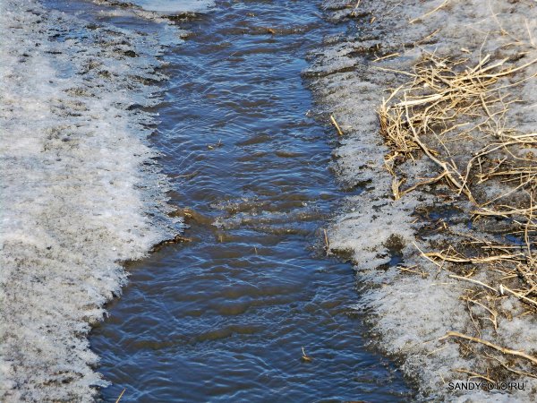Василиса – вешней воды указательница