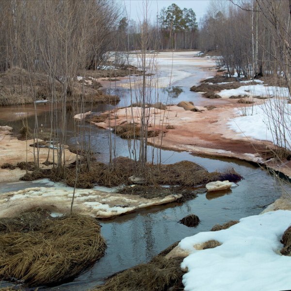 Бегут ручьи весной