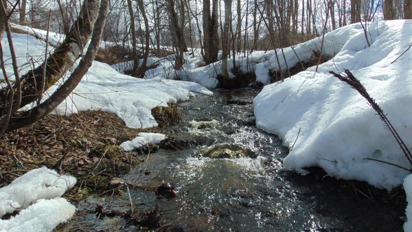 Весенние ручьи