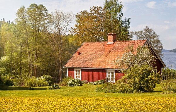 Замечательные пейзажи Randy van Beek, художник США.