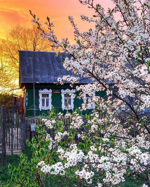 Красивый сад