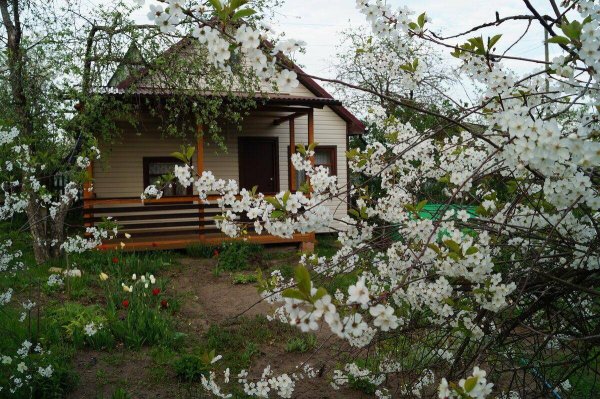 Домик с цветущим садом