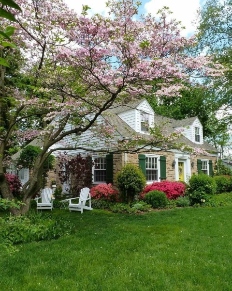 Сказочный домик с цветами