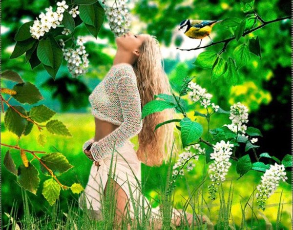 Хорошего настроения в любую погоду