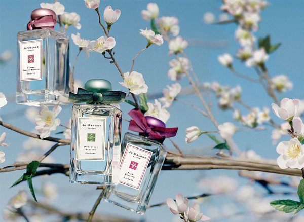 Коллекция Джо Малон Blossoms