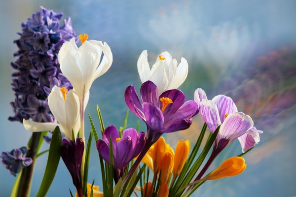 Аромат весны