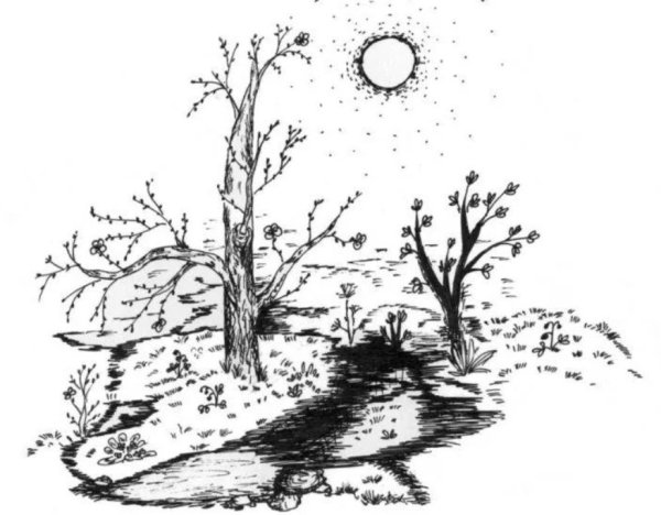 Весна рисунок карандашом