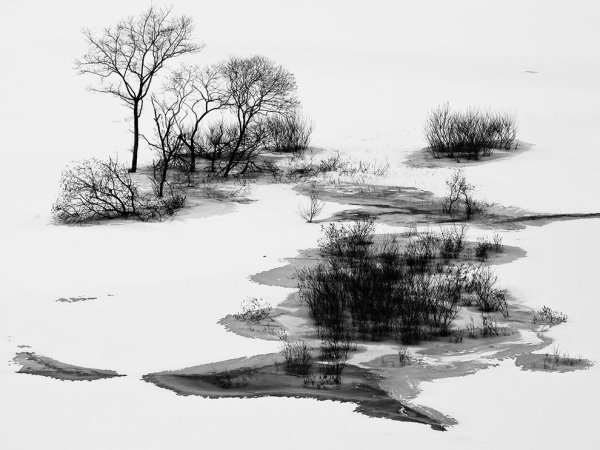 Верейский линогравюры