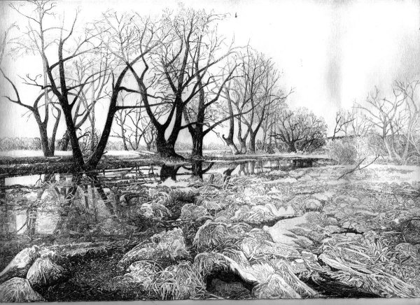 Весенний пейзаж с грачами черно-белая Графика