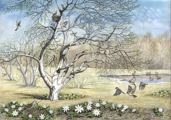 Пейзаж в графике легкий