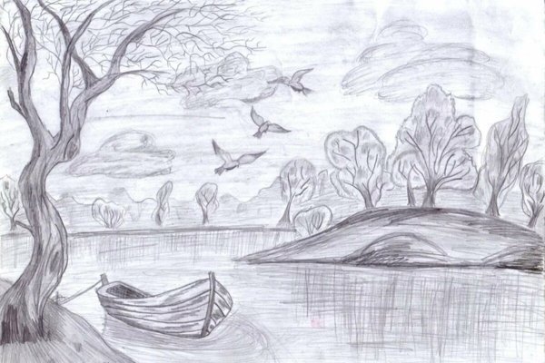 Сакура эскиз