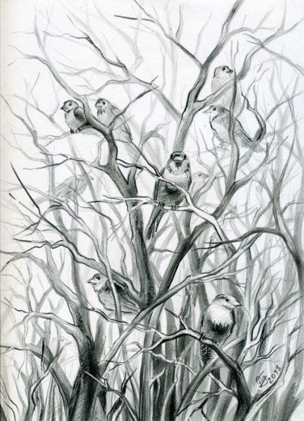 Весна карандашом