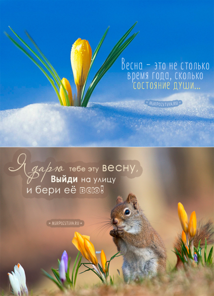 Цитаты про весну