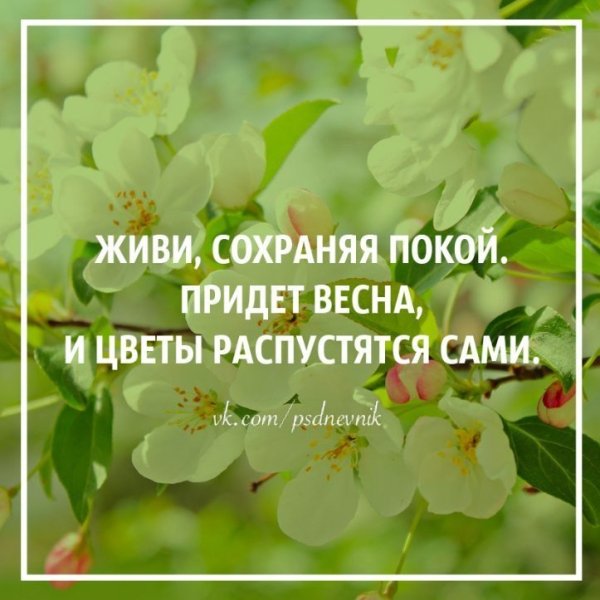 Фразы про весну