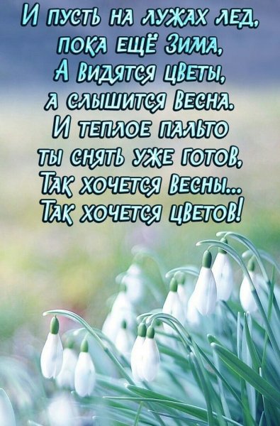 Фразы про весну